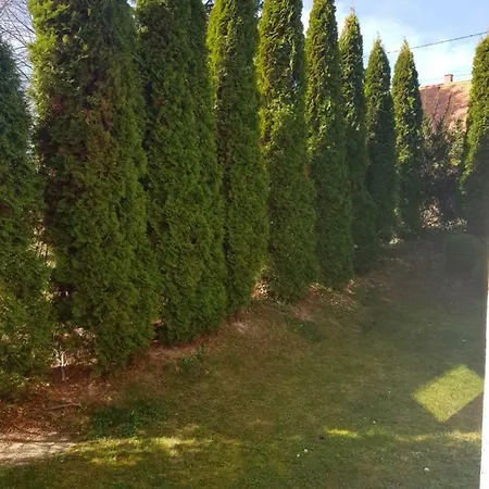 Sofi Apartman * Heviz